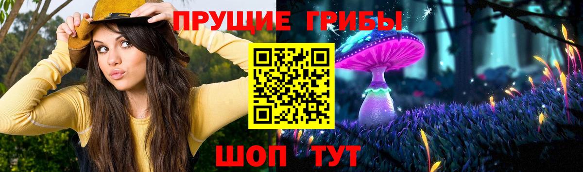 Псилоцибиновые грибы GOLDEN TEACHER  Псилоцибиновые грибы Cubensis  Ростов Великий  наркошоп  Вход с VPN 